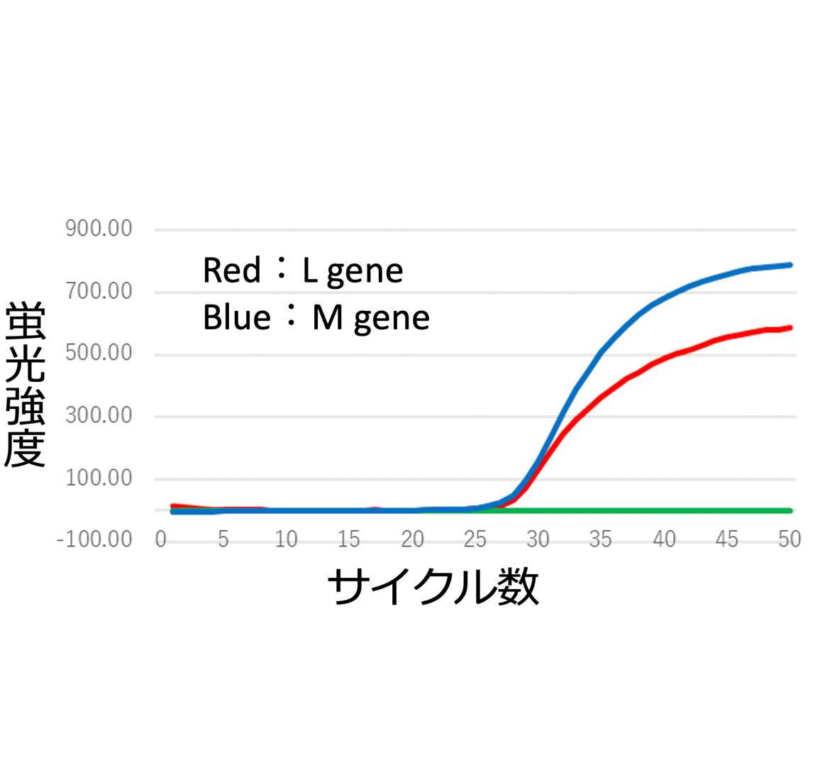 SFTSウイルス（Severe fever with thrombocytopenia）の検出 時間比較のグラフ