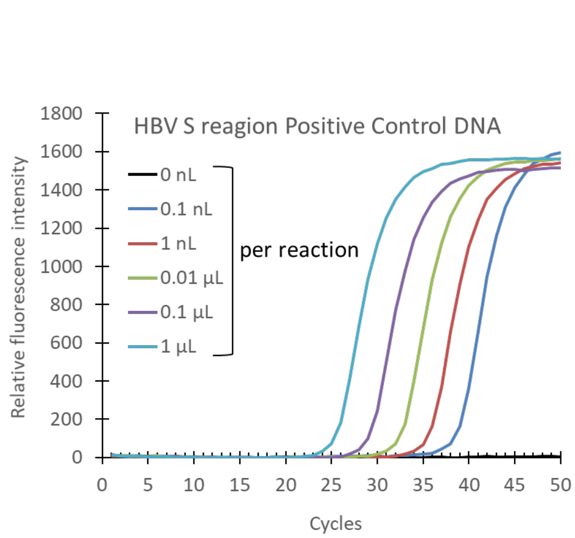 B型肝炎ウイルス(HBV)の検出 時間比較のグラフ