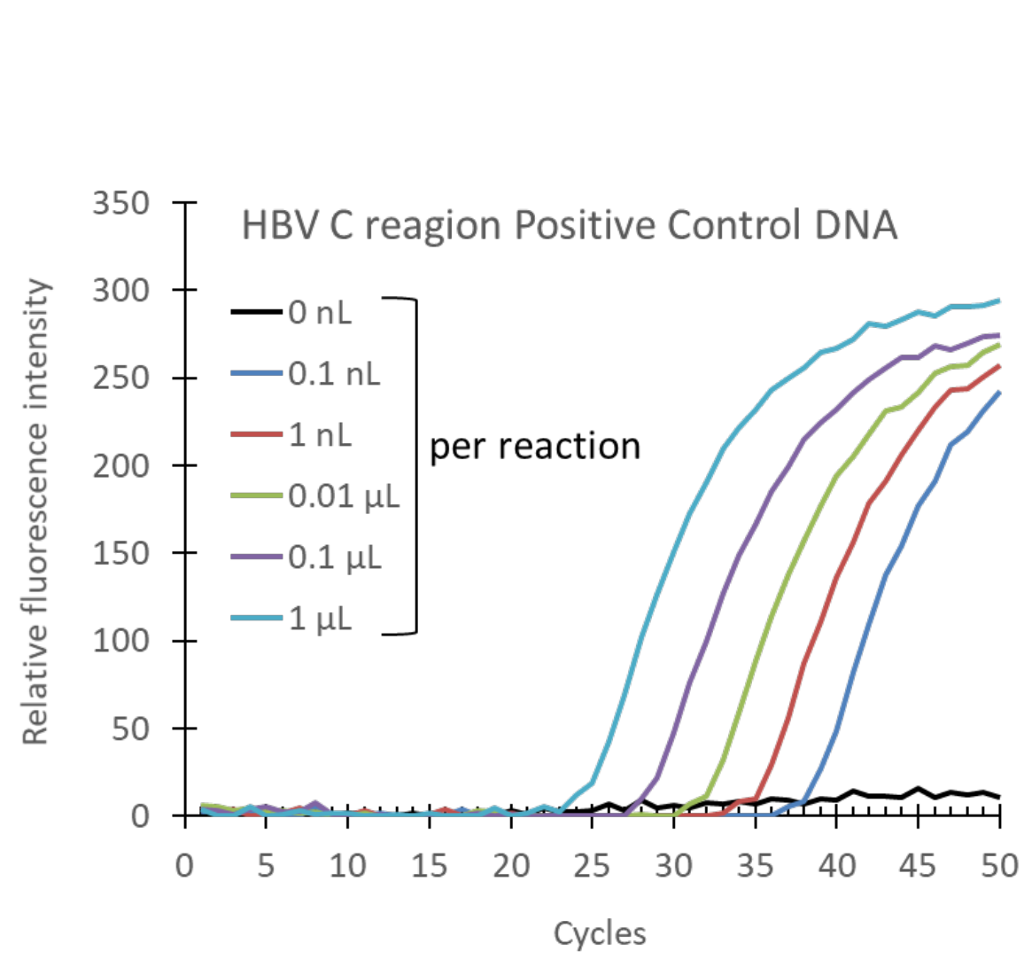 B型肝炎ウイルス(HBV)の検出 時間比較のグラフ