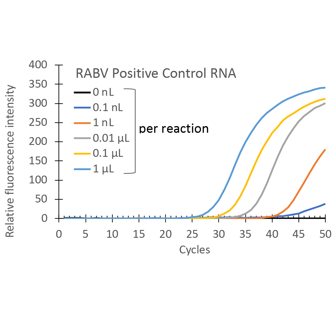狂犬病ウイルスの検出 測定時間比較のグラフ