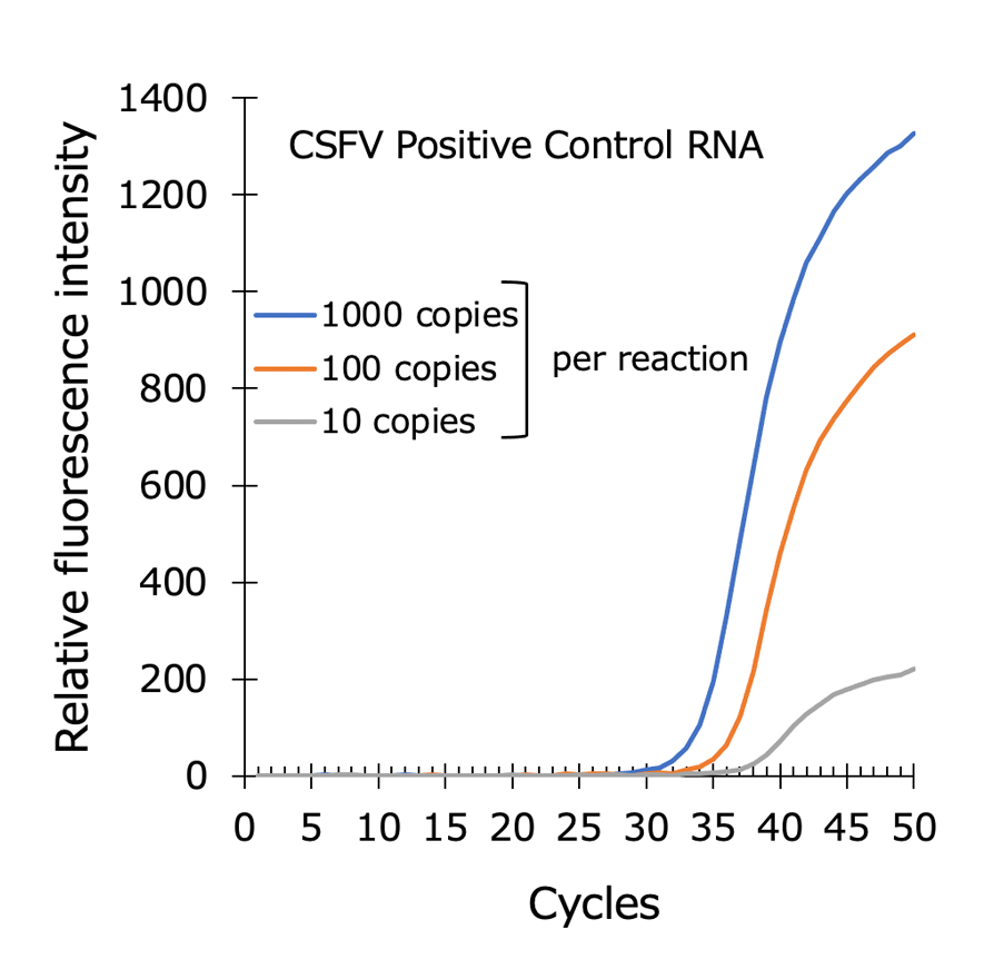Graph:Detection of swine fever virus DNA