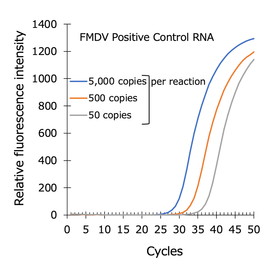 Graph:Detection of Foot-and-mouth disease virus RNA