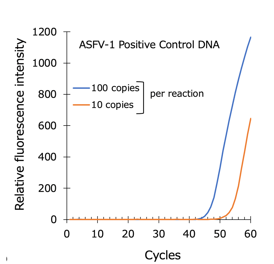 Graph:Detection of African swine fever virus DNA