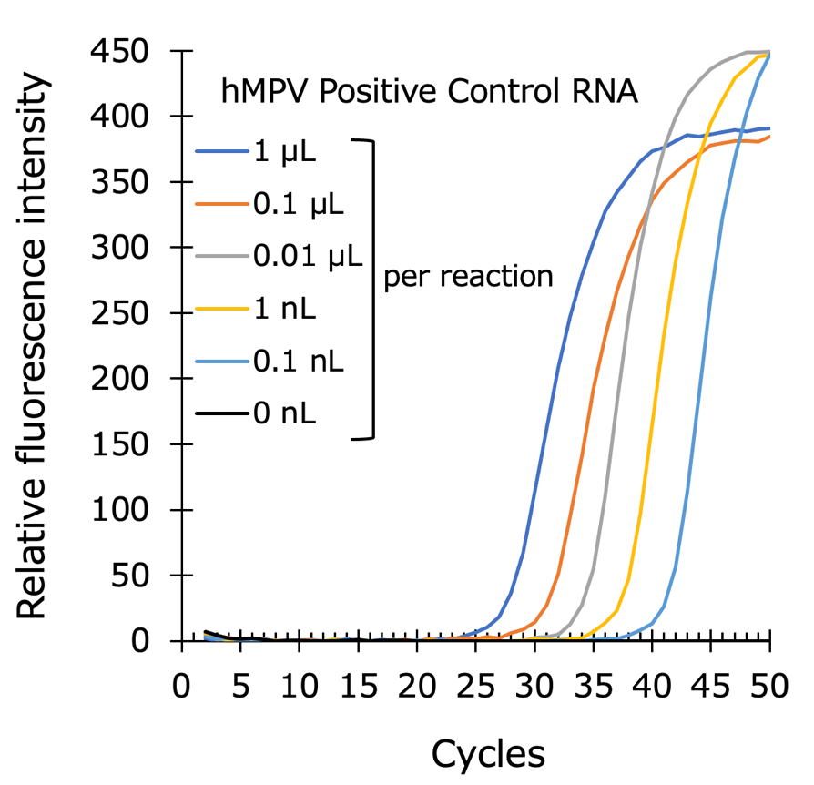 Graph:Detection of Human metapneumovirus RNA