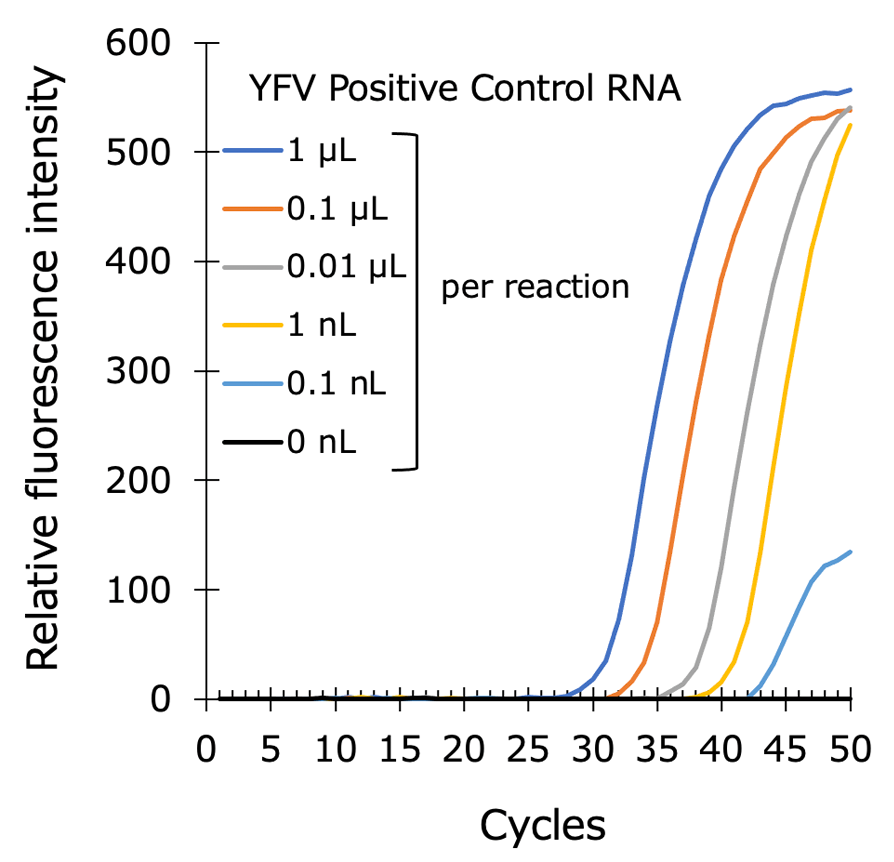 Graph:Yellow fever virusフ