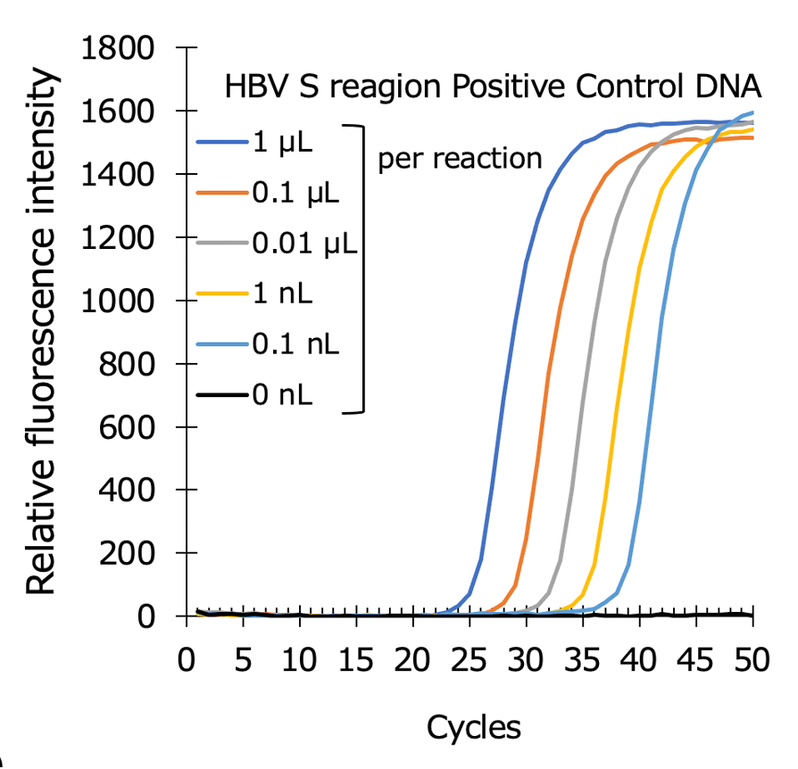 Graph1:Hepatitis B virus(HBV)