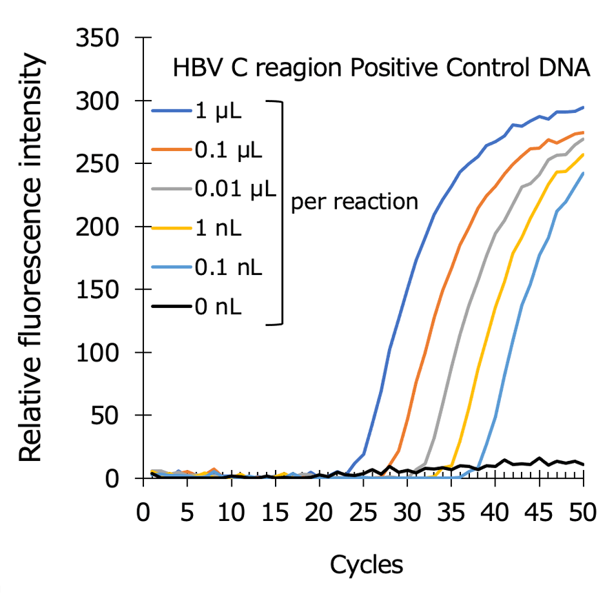 Graph2:Hepatitis B virus（HBV）