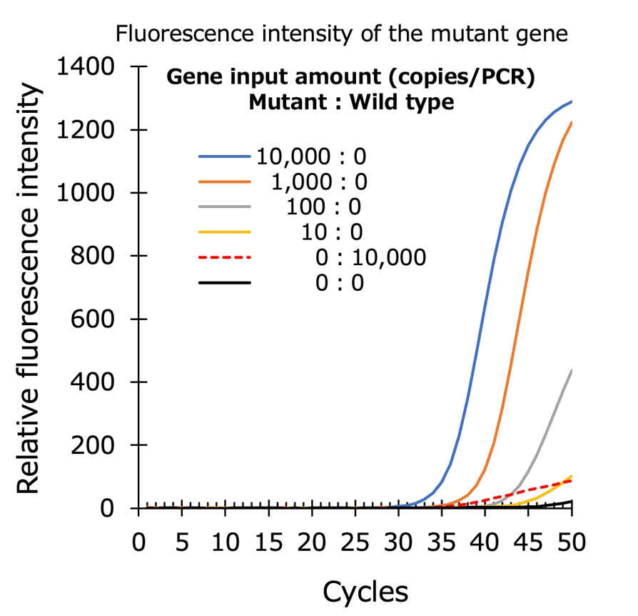 Graph:Bordetella pertussis virus DNA