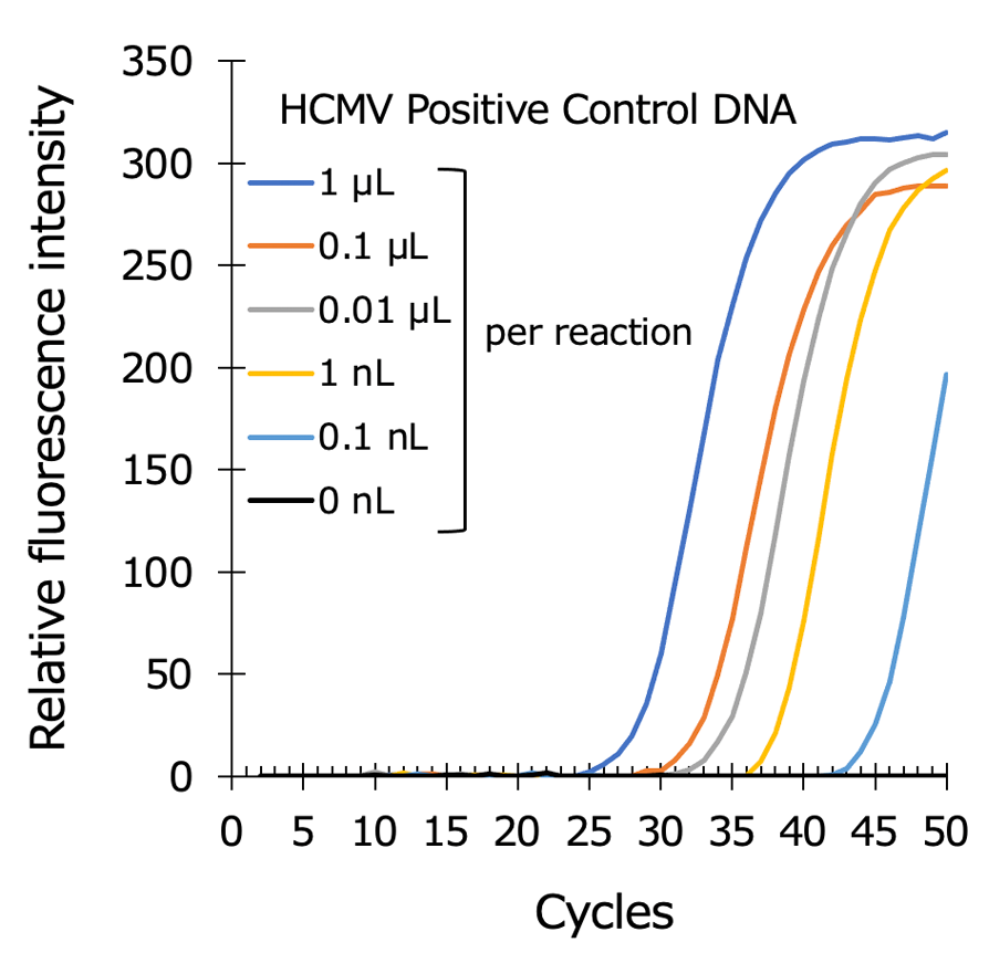 Graph:Human cytomegalovirus