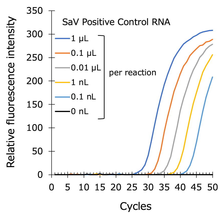 Graph:Sapovirus