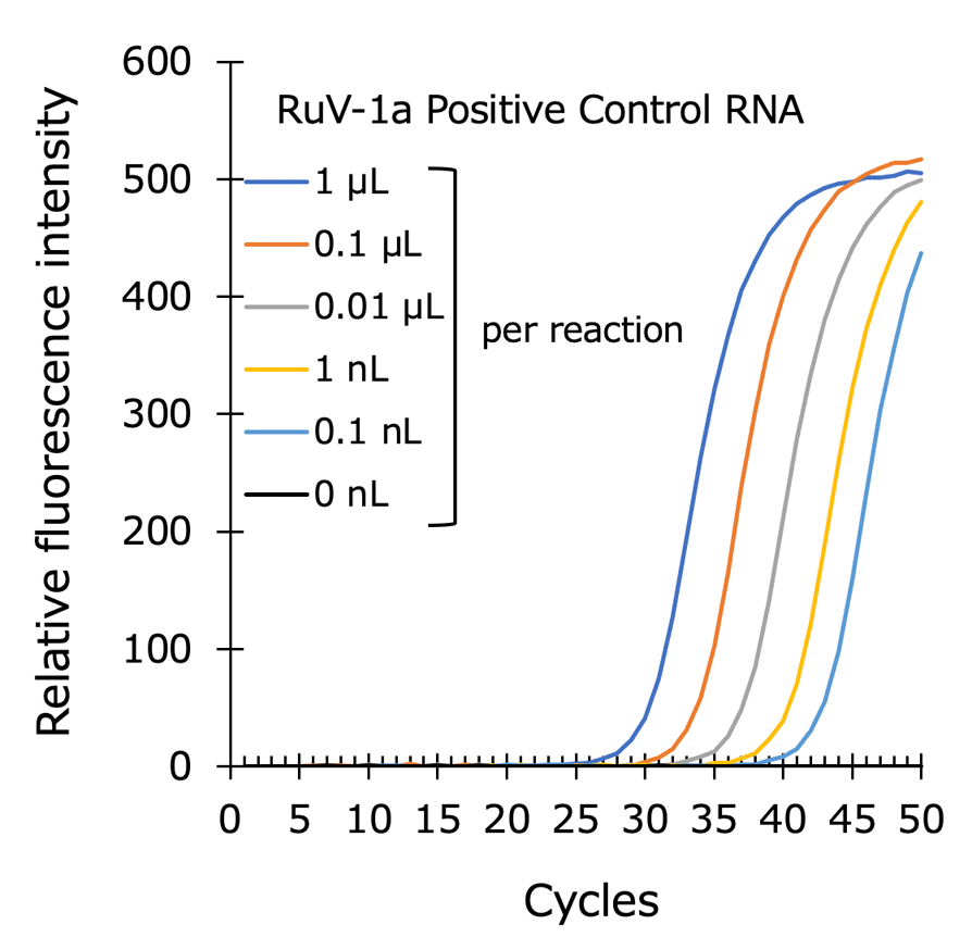 Graph:Rubella virus 1a