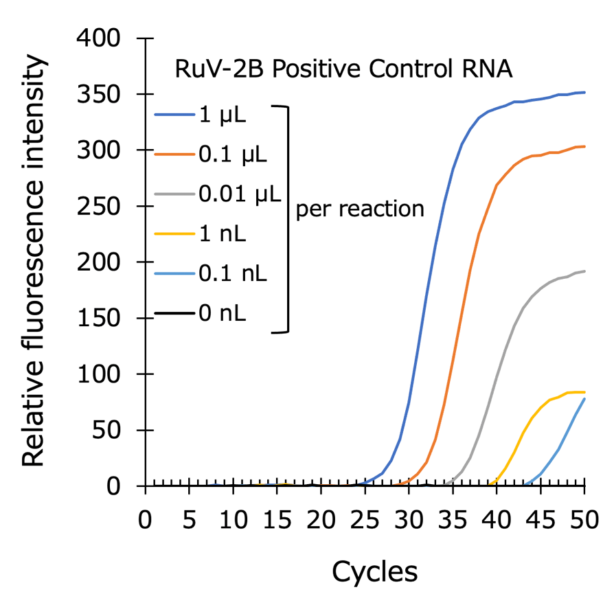 Graph:Rubella virus ２B
