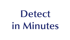 Detect in Minutes