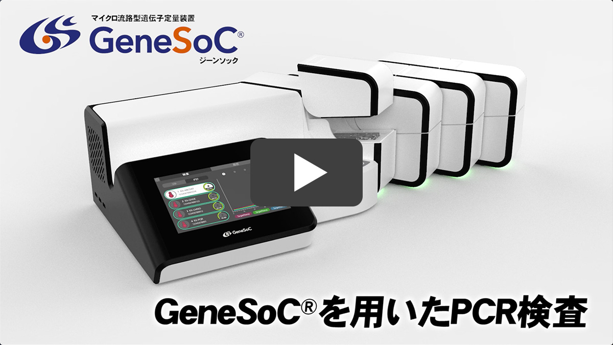 説明動画　GeneSoC®を用いたPCR検査　Youtube動画へ